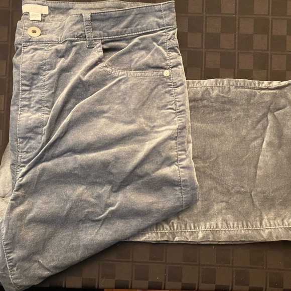 Women’s Size 14 (Brand: J~Jill) SmokeySage Green velveteen pants (orig: $109) - Picture 3 of 4